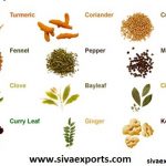 spices manufacturers, whole spices manufacturers, ground spices manufacturers,spices exporters, whole spices exporters, ground spices exporters,siva exports