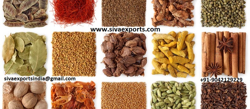whole spices manufcaturers, spices manufacturers, ground spices manufacturers,spices manufacturers in india,whole spices manufacturers in india,ground spices manufacturers in india,